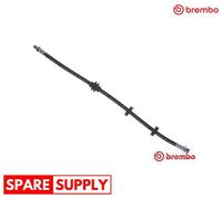 BRAKE HOSE FOR FIAT DOBLO BREMBO T 23 184