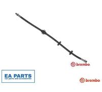 Brake Hose for FIAT DOBLO BREMBO T 23 184