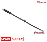 BRAKE HOSE FOR FIAT DOBLO PANDA STRADA PICKUP BREMBO T 23 049