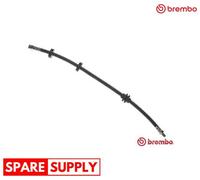 BRAKE HOSE FOR FIAT DOBLO STRADA PICKUP BREMBO T 23 048