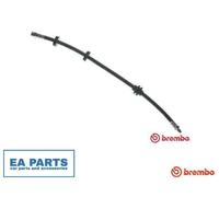 Brake Hose for FIAT STRADA Pickup BREMBO T 23 048