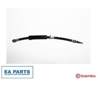 Brake Hose for FORD C-MAX BREMBO T 24 165