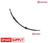 BRAKE HOSE FOR FORD C-MAX FOCUS GRAND C-MAX BREMBO T 24 149