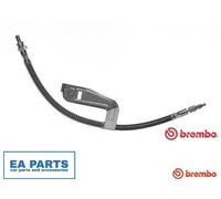 Brake Hose for FORD COURIER FIESTA PUMA BREMBO T 24 095