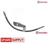 BRAKE HOSE FOR FORD COURIER FIESTA PUMA BREMBO T 24 095