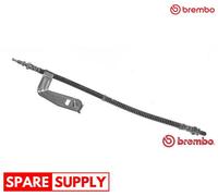 BRAKE HOSE FOR FORD COURIER FIESTA PUMA BREMBO T 24 096