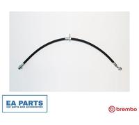 Brake Hose for HONDA CR-V BREMBO T 28 129