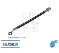 Brake Hose for HONDA FIT BLUE PRINT ADH253169 fits Rear Axle Right, Outer NEW