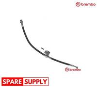 BRAKE HOSE FOR HYUNDAI CLICK BREMBO T 30 066