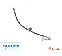 Brake Hose for HYUNDAI CLICK BREMBO T 30 066