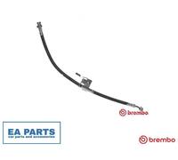 Brake Hose for HYUNDAI CLICK BREMBO T 30 066 NEW