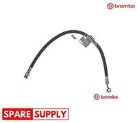 BRAKE HOSE FOR HYUNDAI CLICK BREMBO T 30 067