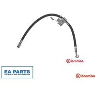 Brake Hose for HYUNDAI CLICK BREMBO T 30 067