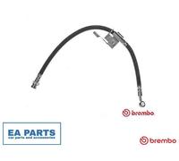 Brake Hose for HYUNDAI CLICK BREMBO T 30 067 NEW