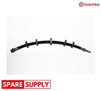 BRAKE HOSE FOR IVECO CITY VI BUS, DAILY VI BUS DAILY BREMBO T A6 020