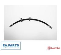 Brake Hose for IVECO DAILY BREMBO T A6 015