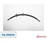 Brake Hose for IVECO DAILY BREMBO T A6 015 NEW