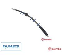 Brake Hose for LANCIA Y Y10 BREMBO T 23 143