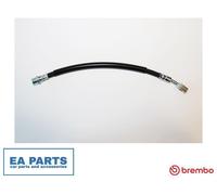 BREMBO T 44 036 Brake hose
