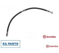 Brake Hose for LEXUS LS BREMBO T 30 054