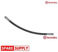 BRAKE HOSE FOR MAZDA 323 ASTINA 323 P 323 PROTEGÉ 626 BREMBO T 49 012