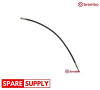 BRAKE HOSE FOR MERCEDES-BENZ B903 B904 V-CLASS W638 BREMBO T 50 006