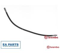 Brake Hose for MERCEDES-BENZ B903 BREMBO T 50 033