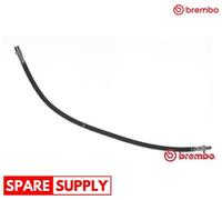 BRAKE HOSE FOR MERCEDES-BENZ B903 V-CLASS W638 BREMBO T 50 033