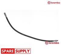 BRAKE HOSE FOR MERCEDES-BENZ B903 V-CLASS W638 BREMBO T 50 033