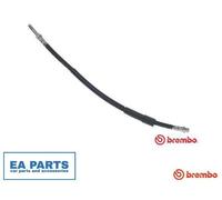 Brake Hose for MERCEDES-BENZ B906 B907 BREMBO T 50 072