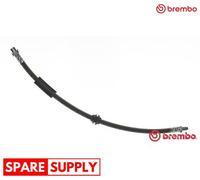 Brembo Brake Hose T 06 038 - Rear - Fits MINI Clubman 1.6L (N47C16A, N18B16A/B16C)