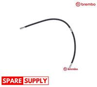 BRAKE HOSE FOR MITSUBISHI MONTERO BREMBO T 54 052