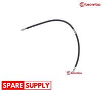 BRAKE HOSE FOR MITSUBISHI MONTERO BREMBO T 54 052