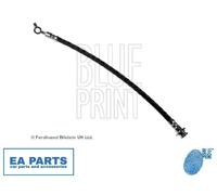 Brake Hose for NISSAN BLUE PRINT ADN153156 fits Front Axle Left