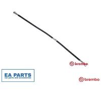 Brake Hose for NISSAN DUALIS BREMBO T 56 179