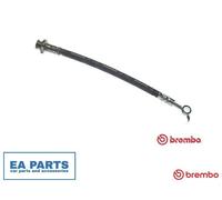 Brake Hose for NISSAN DUALIS KICKS II SUV BREMBO T 56 162