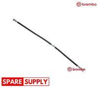 BRAKE HOSE FOR NISSAN DUALIS KICKS II SUV BREMBO T 56 179