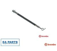 Brake Hose for NISSAN JUKE BREMBO T 56 164