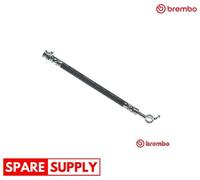 BRAKE HOSE FOR NISSAN JUKE BREMBO T 56 164