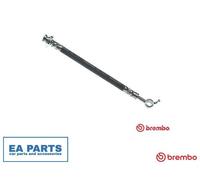 Brake Hose for NISSAN JUKE BREMBO T 56 164 NEW