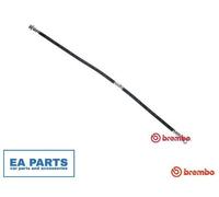 Brake Hose for NISSAN KICKS II SUV BREMBO T 56 179