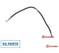 Brake Hose for NISSAN KICKS II SUV BREMBO T 56 180