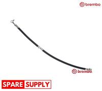BRAKE HOSE FOR NISSAN PRIMASTAR X-TRAIL BREMBO T 56 174