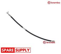 BRAKE HOSE FOR NISSAN PRIMASTAR X-TRAIL BREMBO T 56 174