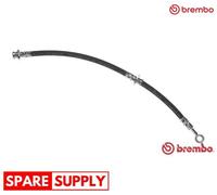 BRAKE HOSE FOR NISSAN PRIMERA BREMBO T 56 148