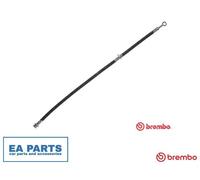 Brake Hose for NISSAN PRIMERA BREMBO T 56 151 NEW