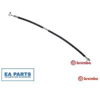 Brake Hose for NISSAN X-TRAIL BREMBO T 56 173