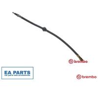 Brake Hose for PEUGEOT 205 BREMBO T 61 017