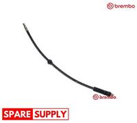 BRAKE HOSE FOR PEUGEOT 306 BREMBO T 61 084