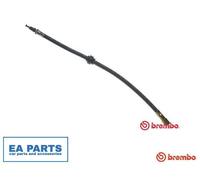 Brake Hose for PEUGEOT 405 BREMBO T 61 017